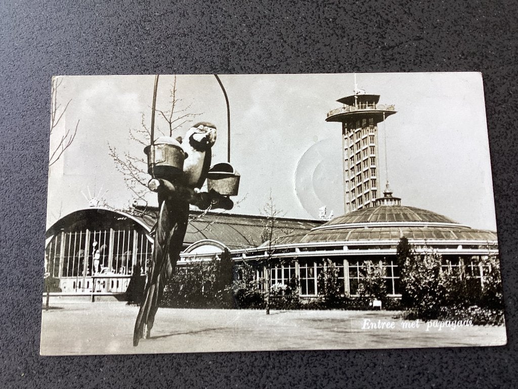 Rotterdam. Dierentuin, Ophalen of Verzenden, 1940 tot 1960, Gelopen, Zuid-Holland