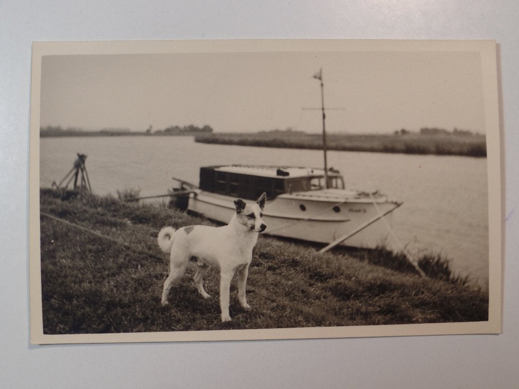 Salonboot met Hond, Ophalen of Verzenden, Ongelopen, Friesland