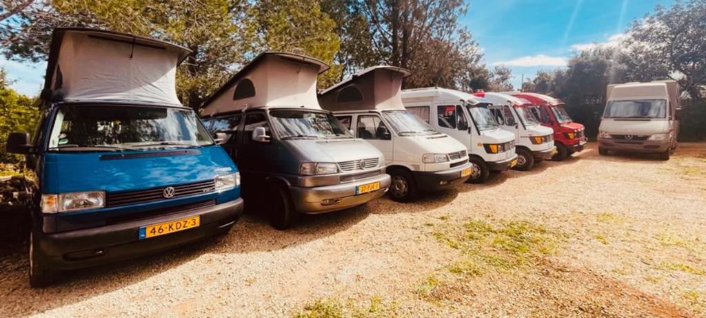 Vw t4 California’s en Mb’s T1 te koop in Portugal, Algarve., Caravans en Kamperen, Campers, Buscamper of Camperbus, Volkswagen