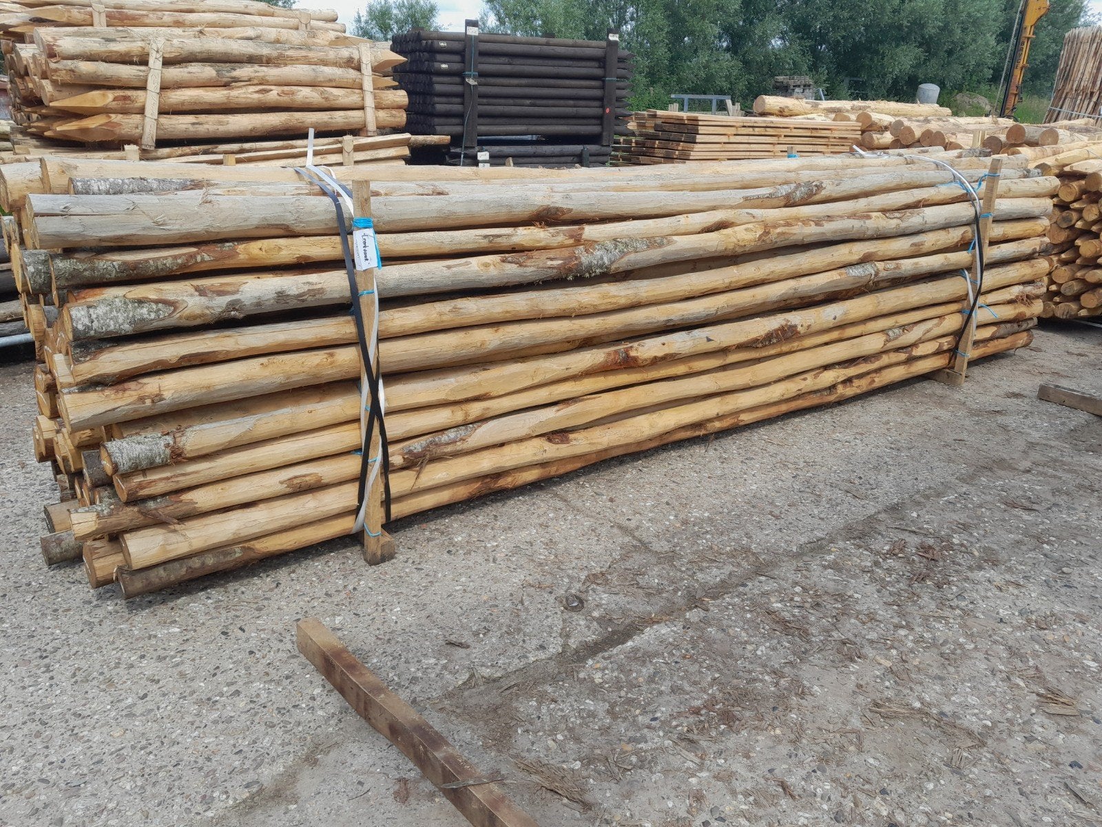 Kastanjehouten palen voor tuinverlichting 500cm lang 12/14cm, Ophalen, Nieuw, 250 cm of meer, Palen