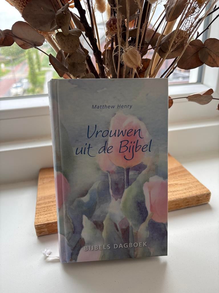 Matthew Henry - Vrouwen uit de Bijbel, Boeken, Godsdienst en Theologie, Christendom | Protestants, Ophalen of Verzenden, Zo goed als nieuw