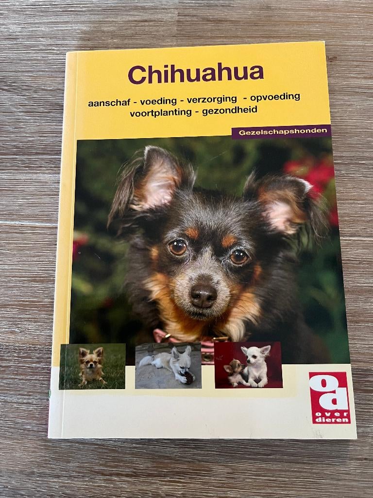 Chihuahua, Ophalen, Zo goed als nieuw, Honden