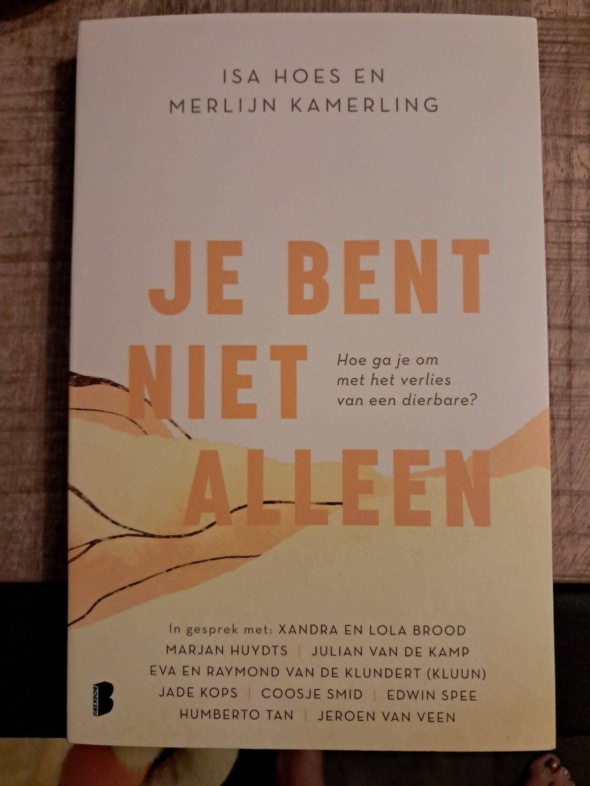 Je bent niet alleen - Isa Hoes & Merlijn Kamerling, Boeken, Literatuur, Ophalen of Verzenden, Nieuw, Isa Hoes en Merlijn Kamerling