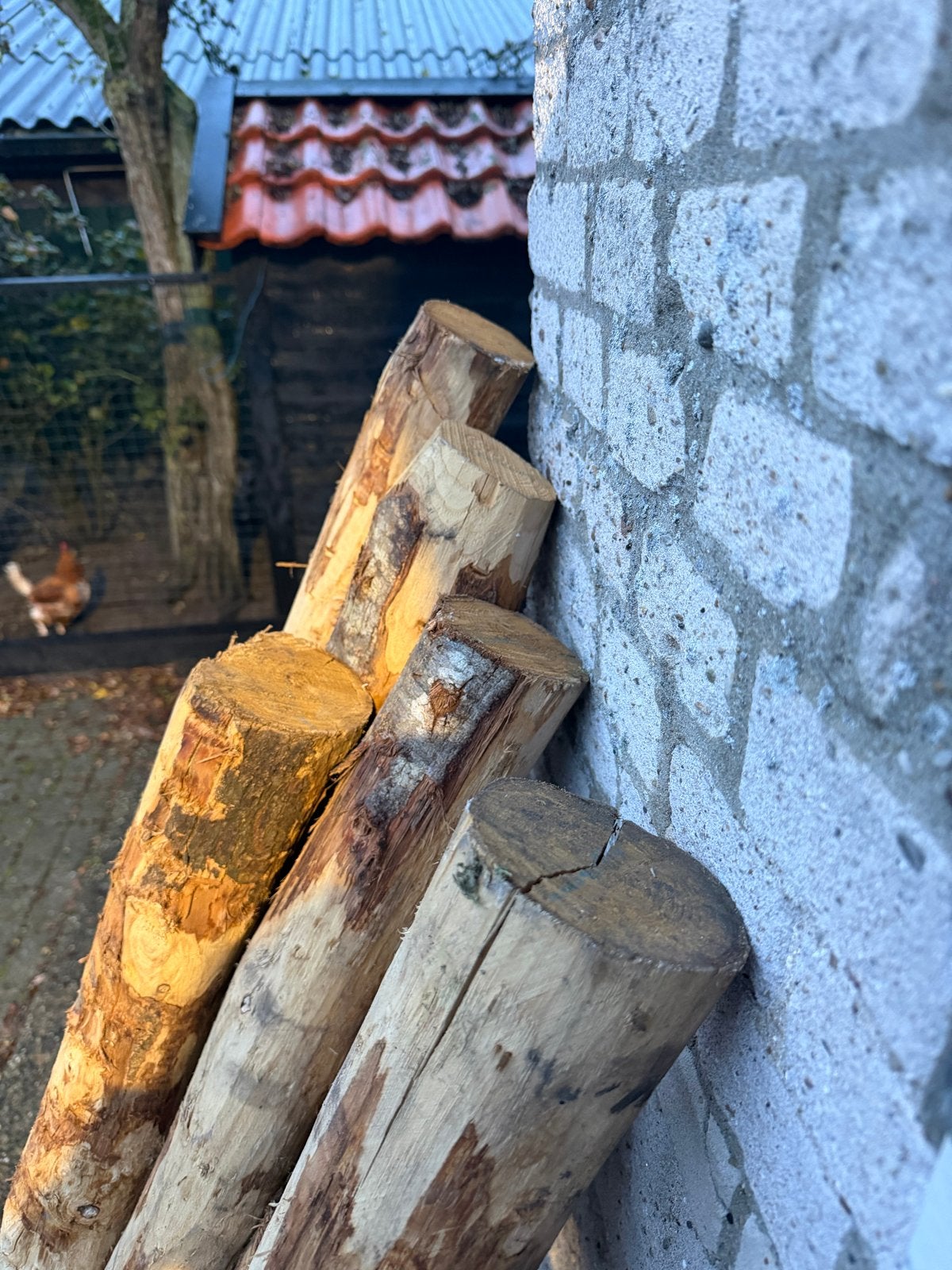 Kastanjepalen, Ophalen, Nieuw, 250 cm of meer, Palen
