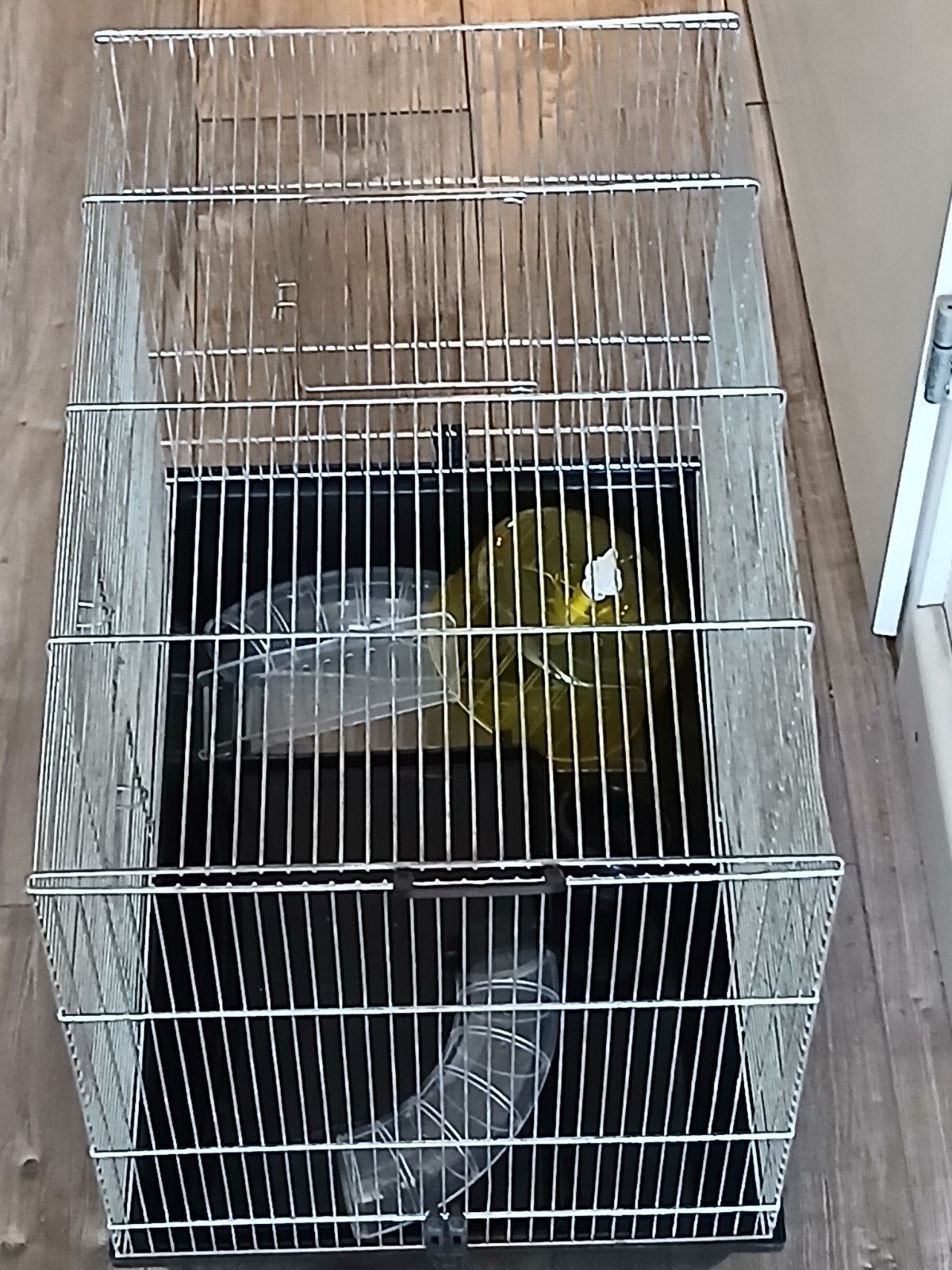 te koop hamster kooi, Minder dan 60 cm, Kooi, Minder dan 75 cm, Ophalen of Verzenden