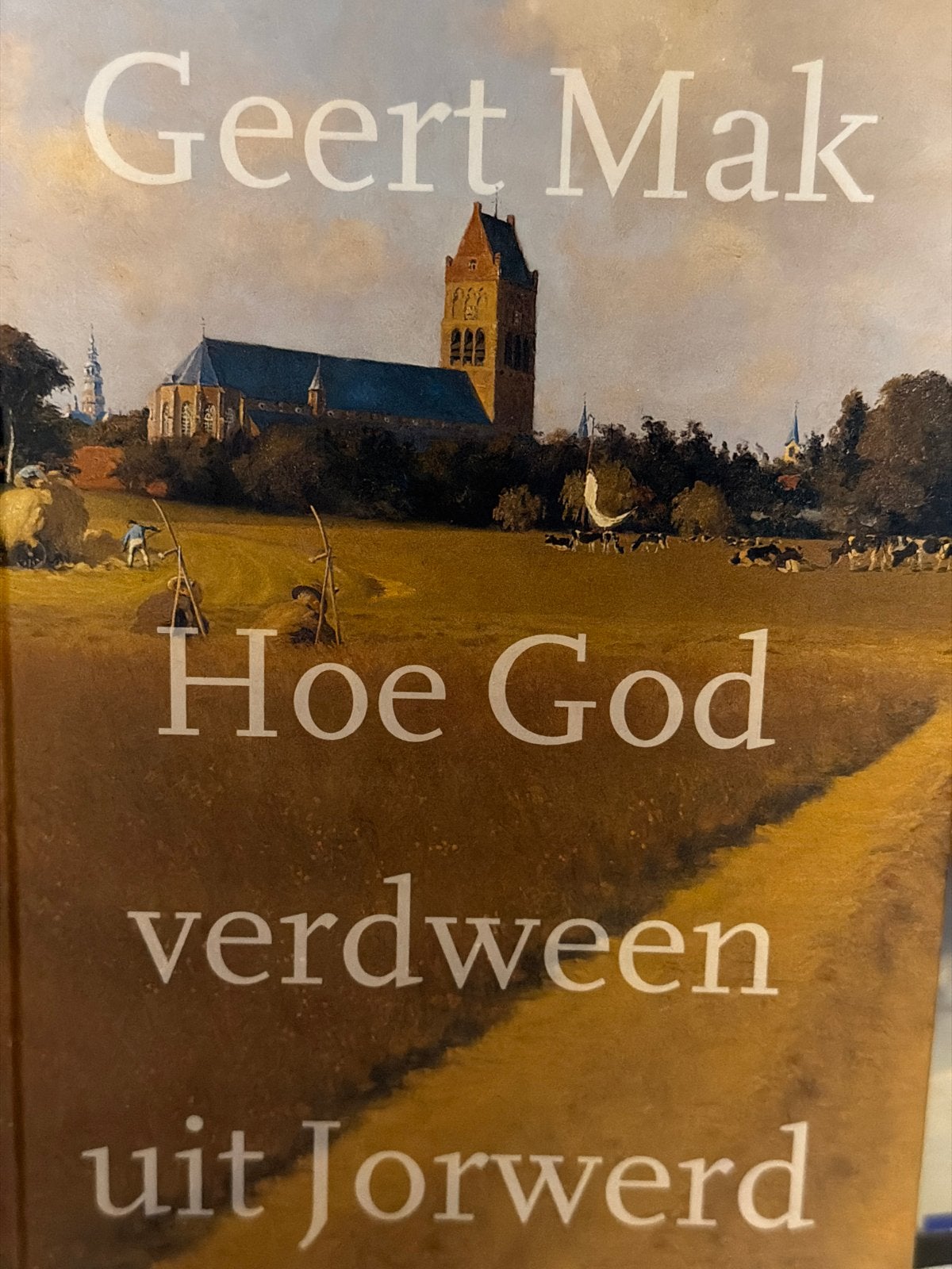 Geert Mak - Hoe God verdween uit Jorwerd, Boeken, Literatuur, Ophalen of Verzenden, Zo goed als nieuw, Geert Mak