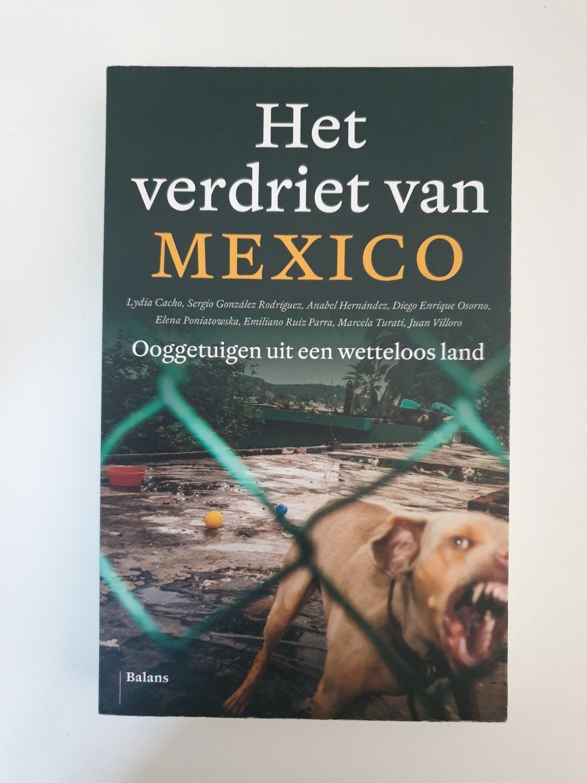 Het verdriet van Mexico - Ooggetuigen uit een wetteloos land, Ophalen of Verzenden, Gelezen