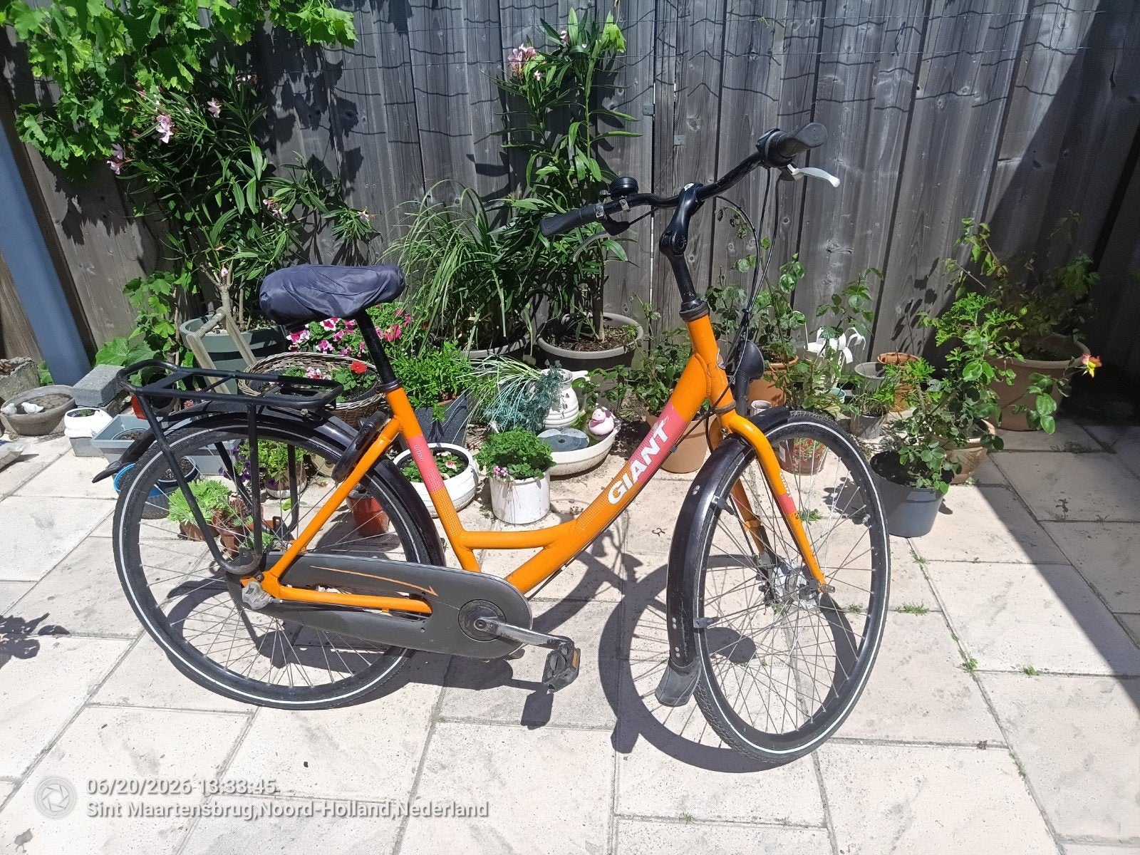 Giant damesfiets - Oranje - Goede staat, Ophalen, Gebruikt, Velgrem, Versnellingen