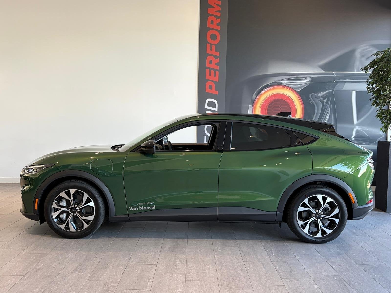 Ford Mustang Mach-E Standard RWD 73 kWh | TECHNOLOGY PACK+ |, Auto's, Automaat, Achterwielaandrijving, 750 kg, 474 min