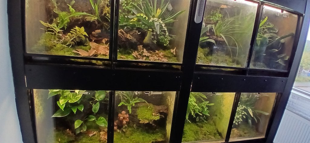 terrariums, Dieren en Toebehoren, Ophalen, Gebruikt, Terrarium of Paludarium