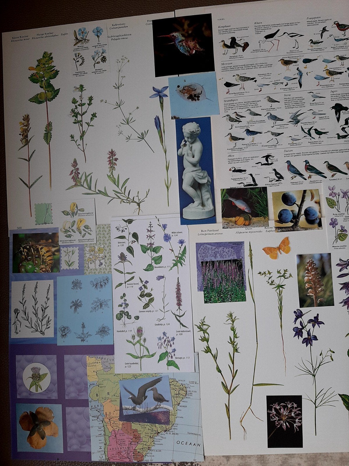 Diverse verzameling van natuur- en kunstafbeeldingen, Verzamelen, Ophalen of Verzenden, Gebruikt