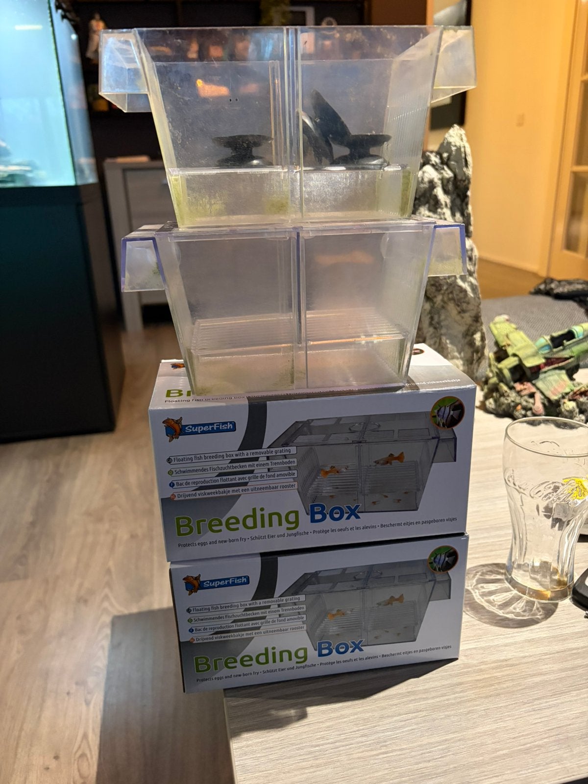 4 kweek bakjes, Ophalen of Verzenden, Zo goed als nieuw, Leeg aquarium