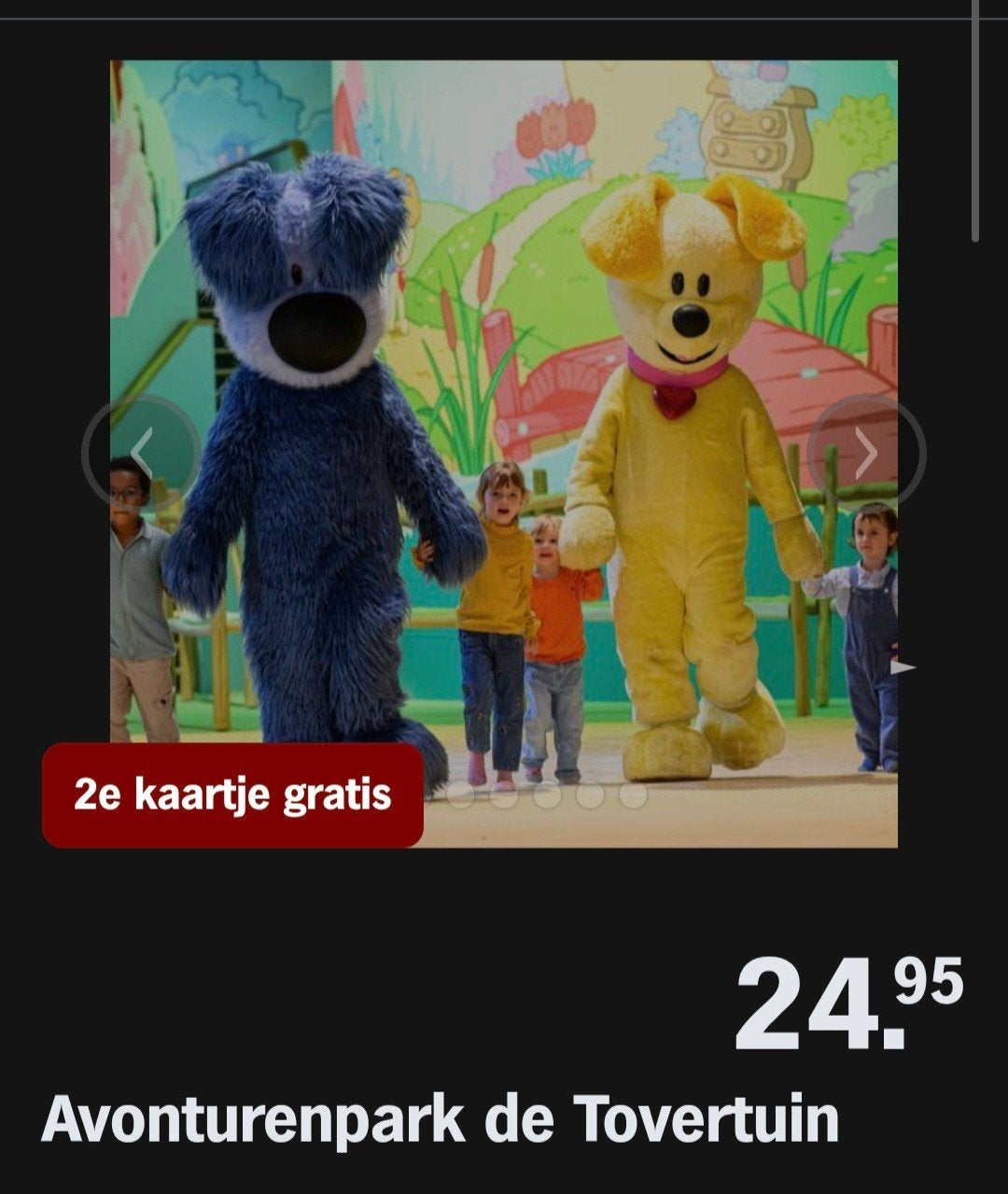 AVONTURENPARK DE TOVERTUIN ♡ 2e kaartje gratis (AH ACTIE), Overige soorten