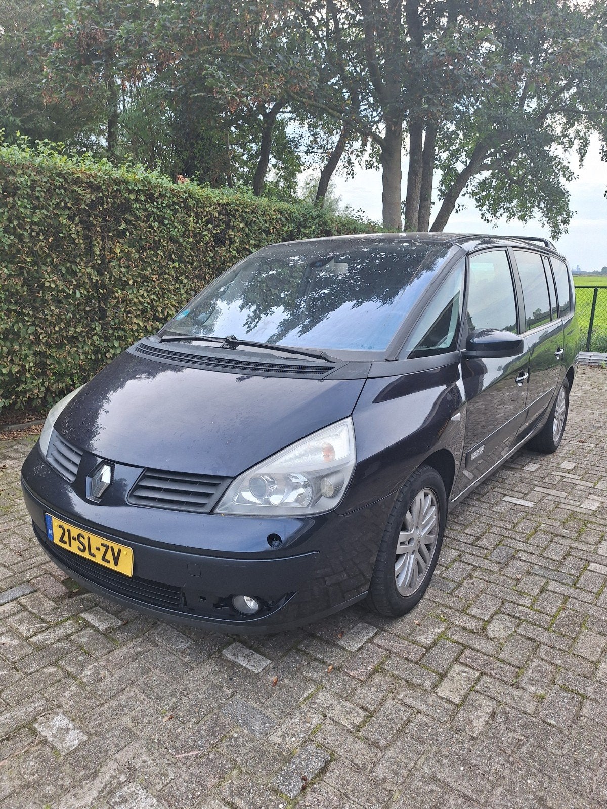 Renault Grand Espace 3.5 V6 24V 177KW AUT E4 2006 Blauw, 2000 kg, Blauw, 7 stoelen, 1790 kg