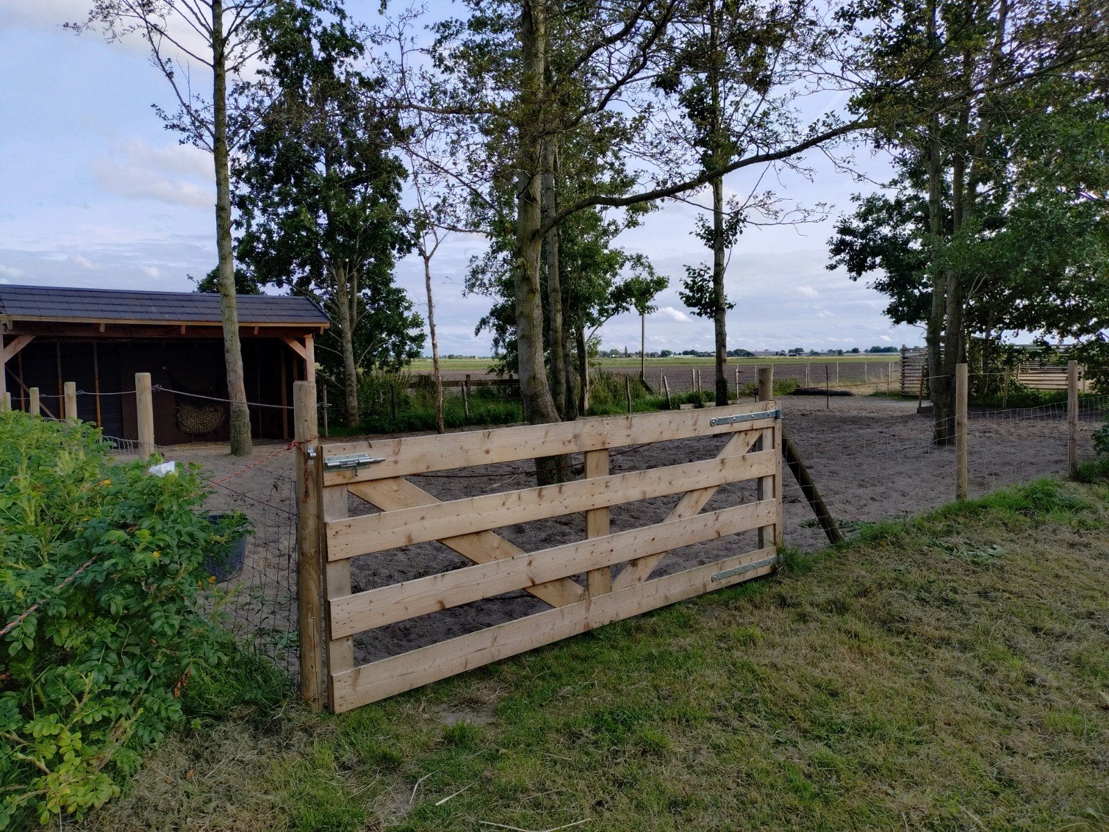 Plek vrij in onze 'paardentuin', Dieren en Toebehoren, Stalling en Weidegang, Weidegang
