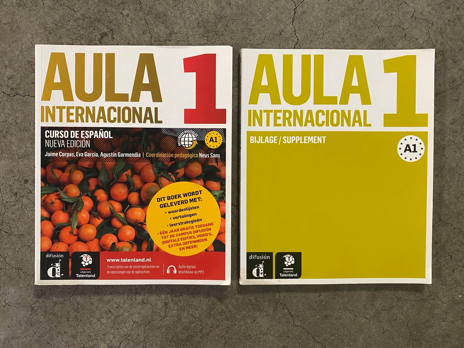 Aula Internacional 1 - Spaans cursusboek + bijlage + CD, Ophalen of Verzenden, Zo goed als nieuw, Non-fictie