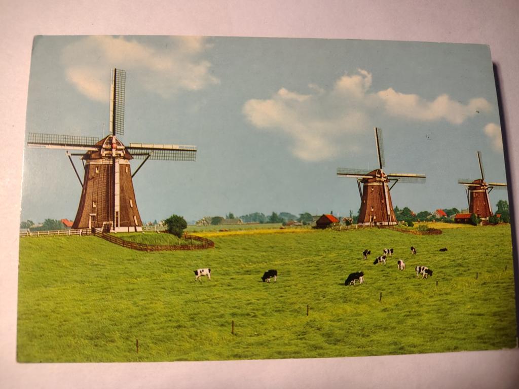 Leidschendam, Ophalen of Verzenden, 1940 tot 1960, Gelderland