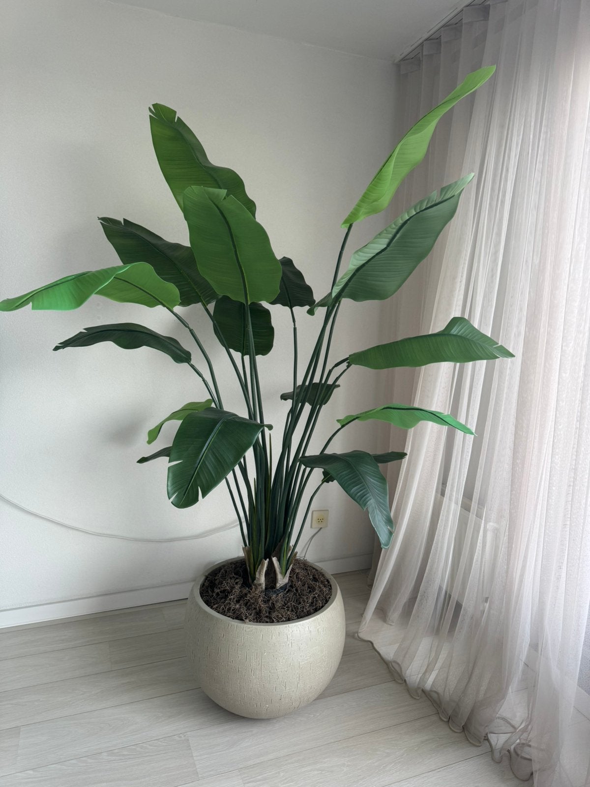 Kunstplant, Huis en Inrichting, Kamerplanten, Ophalen, Halfschaduw, 150 tot 200 cm