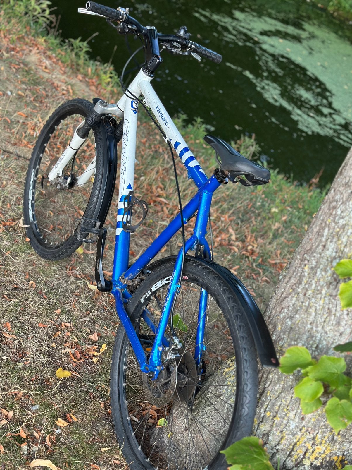 🚲 Giant Terrago mountainbike – blauw/wit, Versnellingen, 56 cm of meer, Zo goed als nieuw, Ophalen