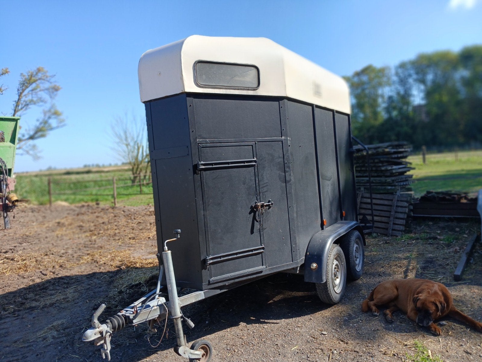 paardentrailer, Ophalen of Verzenden, Gebruikt, Hout, 1-paards trailer