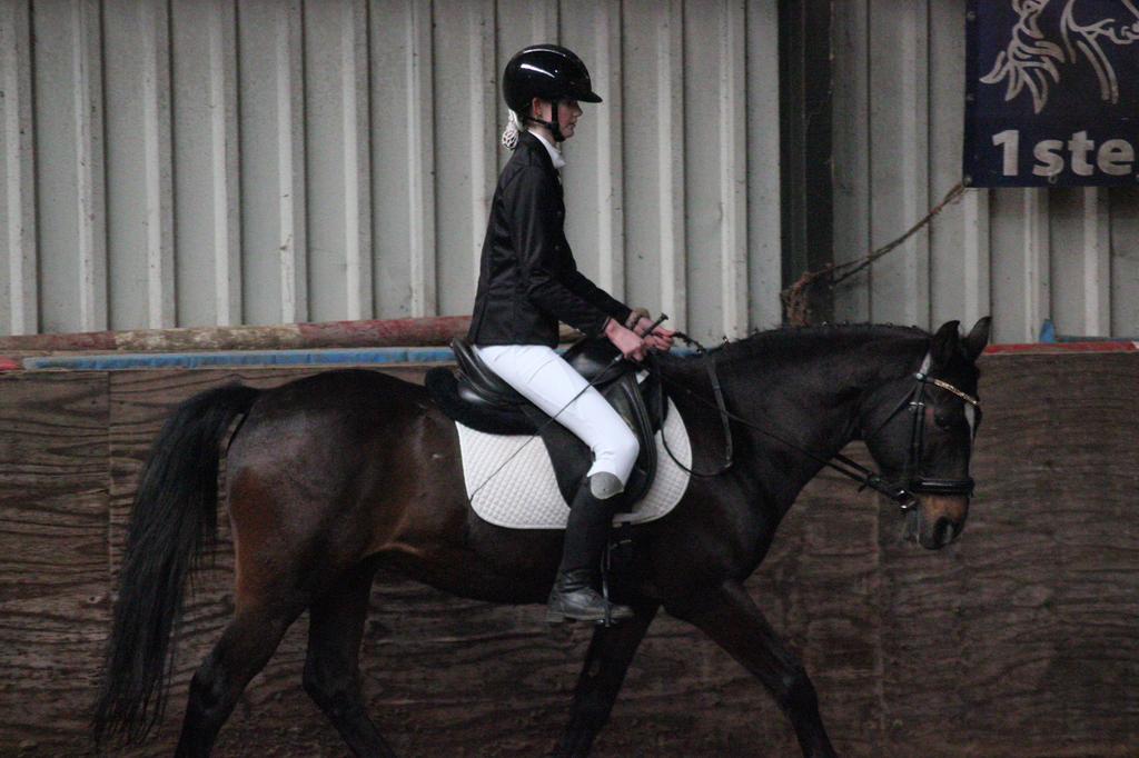 Bijrijd pony/paard gezocht!, Ophalen of Verzenden, Nieuw