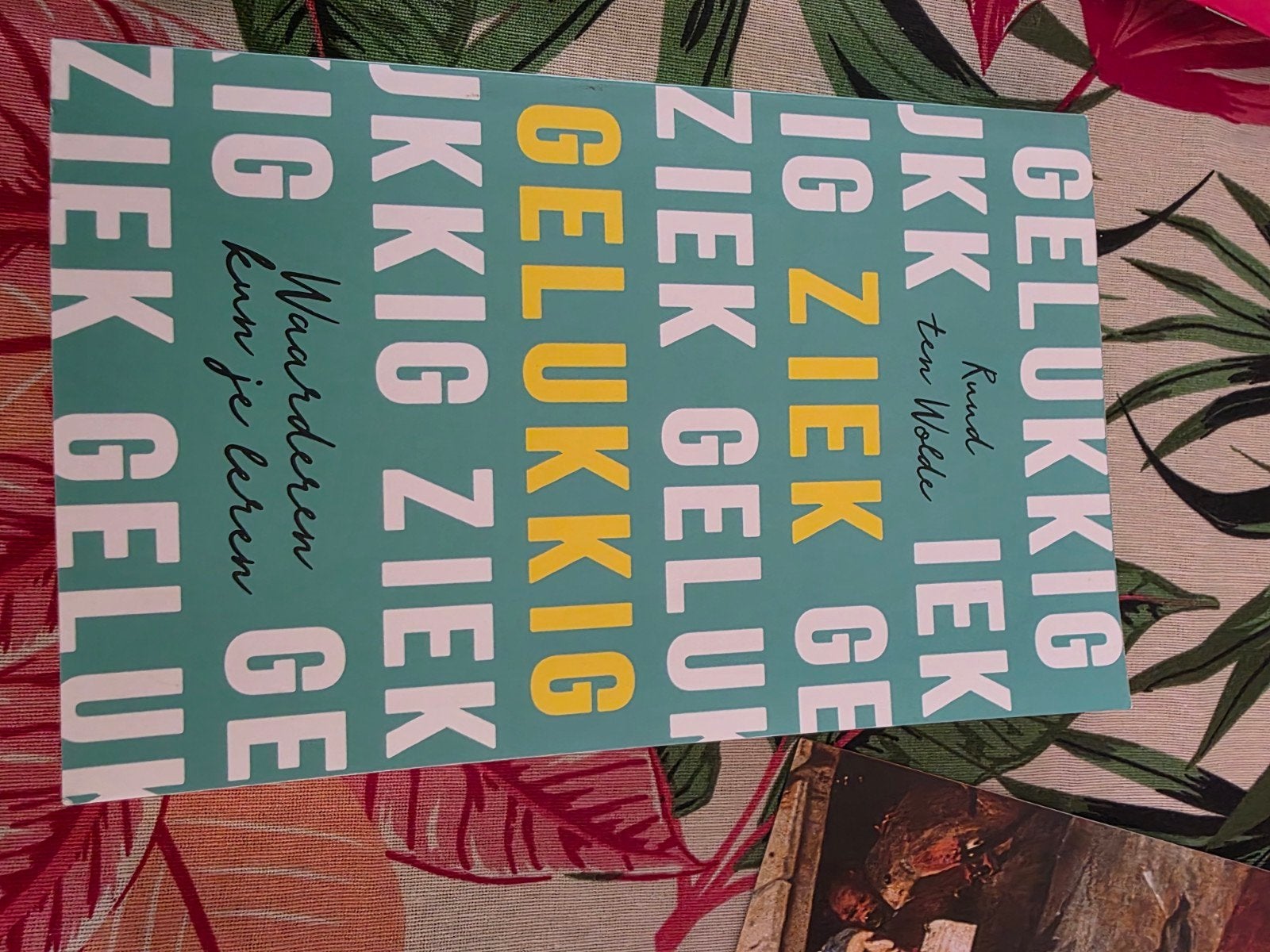 Gelukkig Ziek - Ruud ten Wolde (Boek), Boeken, Ophalen of Verzenden, Zo goed als nieuw, Ruud ten Wolde, Nederland
