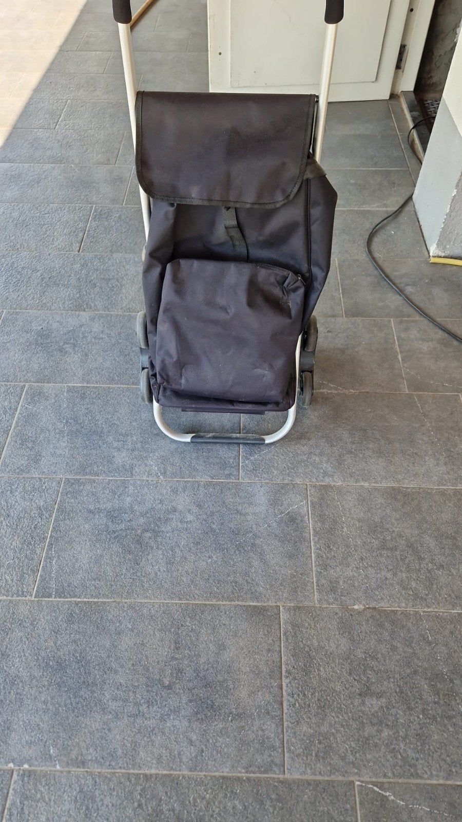 Boodschappentrolley met koelvak, Sieraden, Tassen en Uiterlijk, Tassen | Reistassen en Weekendtassen, Ophalen, 30 cm of meer, Minder dan 35 cm