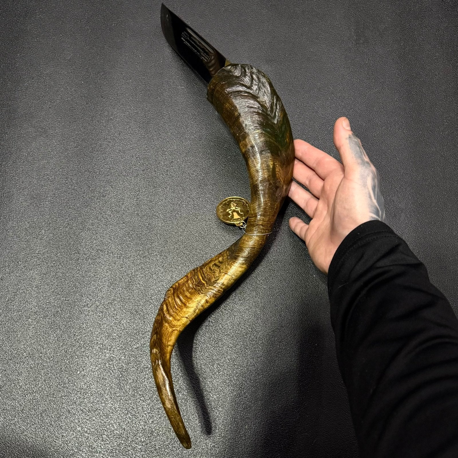 Opgezette taxidermie dolk hoorn mes zwaard, Ophalen of Verzenden