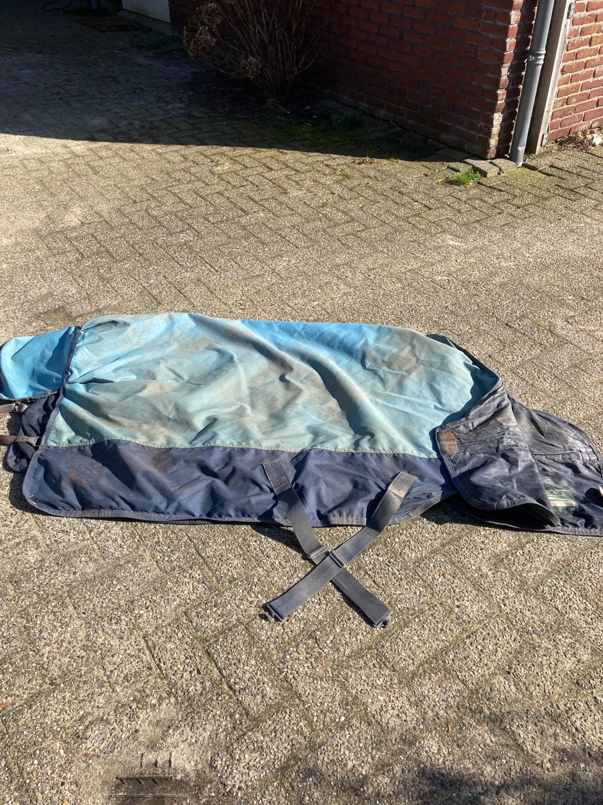 Amigo regendeken met hals  6.0, Dieren en Toebehoren, Ophalen of Verzenden, Zo goed als nieuw