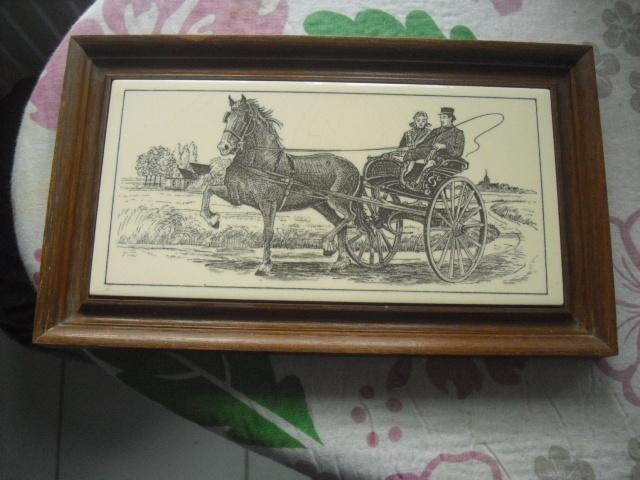 tegeltableau friese sjees, Ophalen of Verzenden