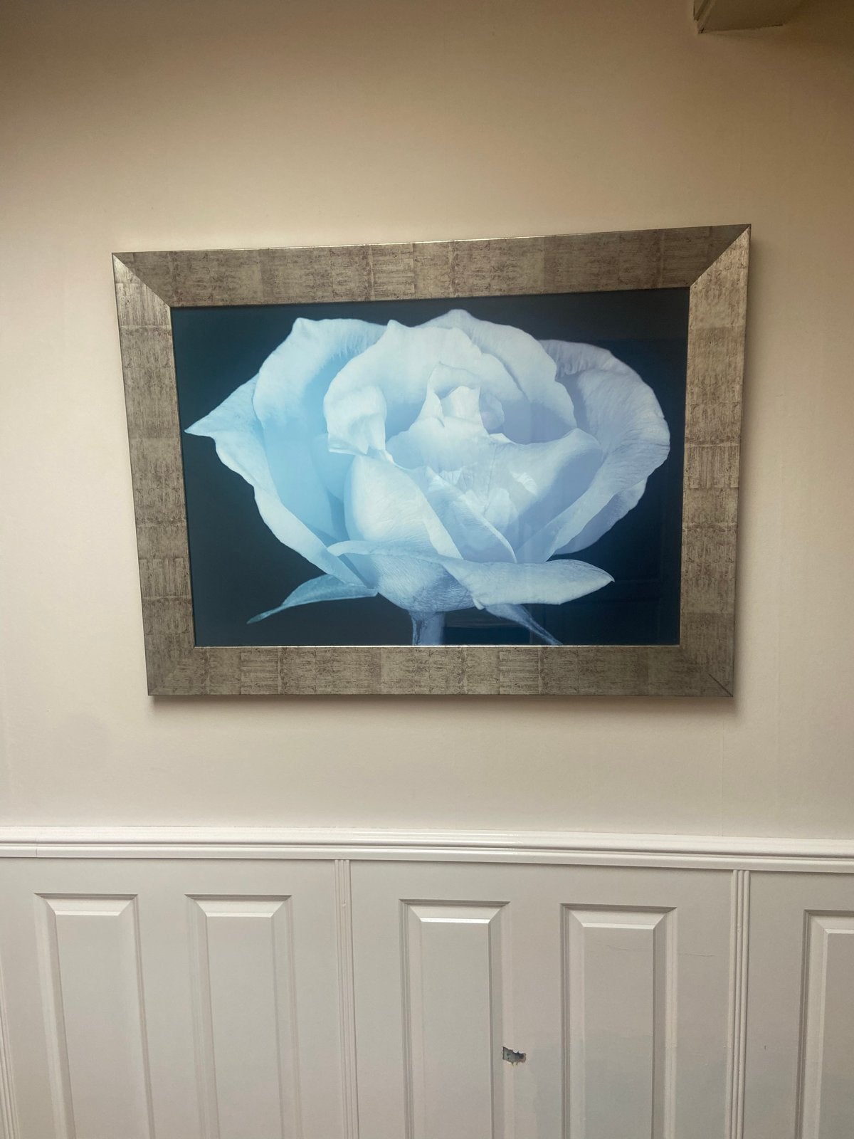 Ingelijste print van een blauwe roos, Ophalen, 50 – 75, 75 tot 100 cm, Print