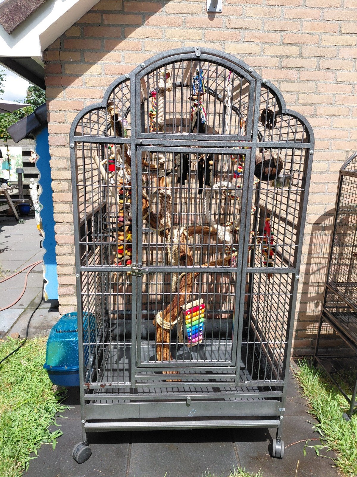 Grote papagaaienkooi met toebehoren, Dieren en Toebehoren, Vogels | Hokken en Kooien, Ophalen