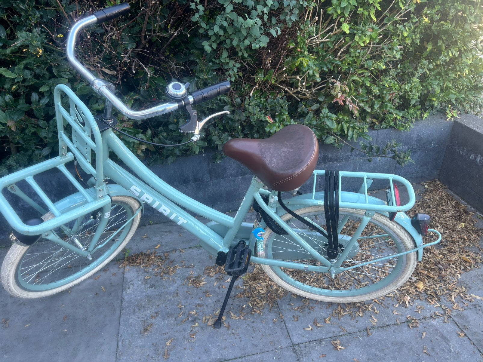 Leuke meidenfiets, Ophalen of Verzenden, Gebruikt, Terugtraprem, 22 inch