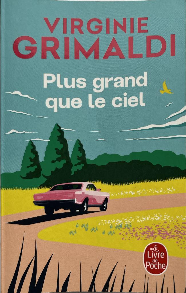 Plus grand que le ciel, Ophalen of Verzenden, Zo goed als nieuw, Grimaldi, Virginie