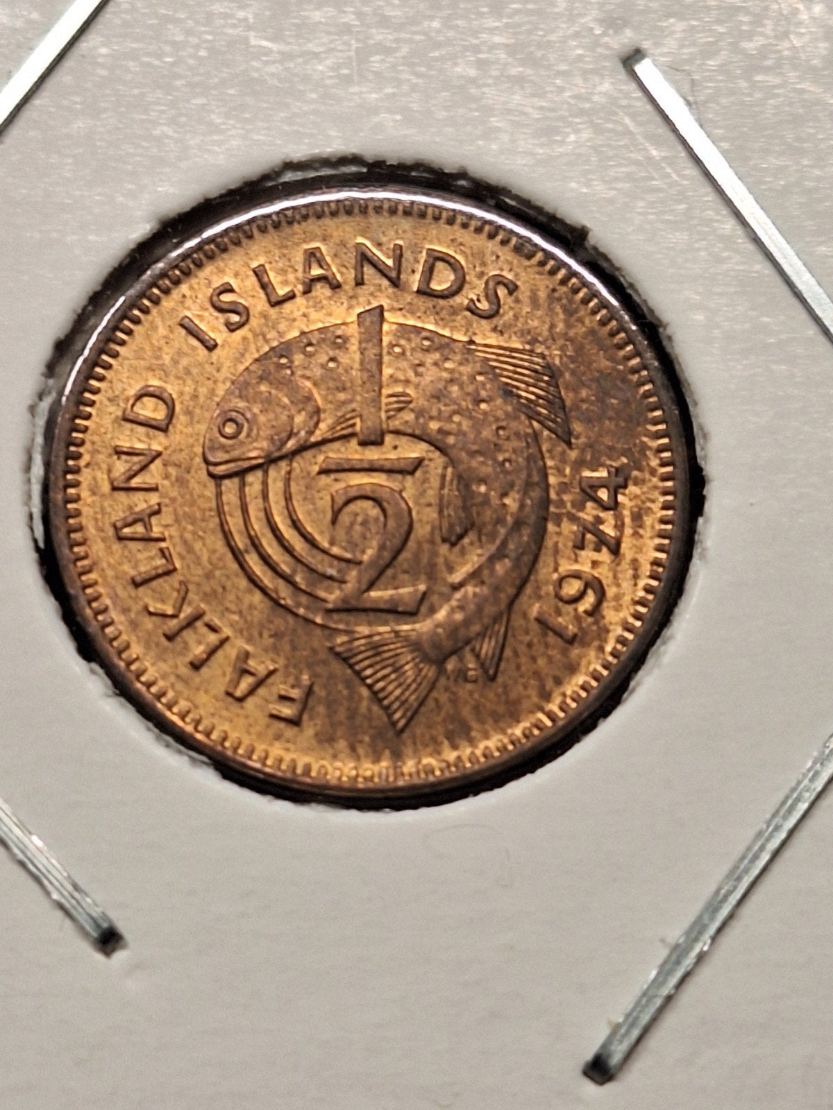 Falkland islands 1/2 penny 1974, Postzegels en Munten, Munten | Amerika, Ophalen of Verzenden, Zuid-Amerika