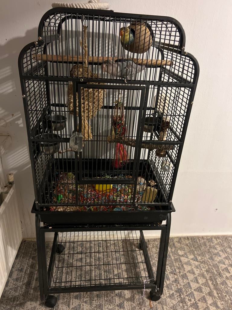 2 agapornis.  Vogelkooi., Ophalen of Verzenden, Zo goed als nieuw, Metaal, Vogelkooi