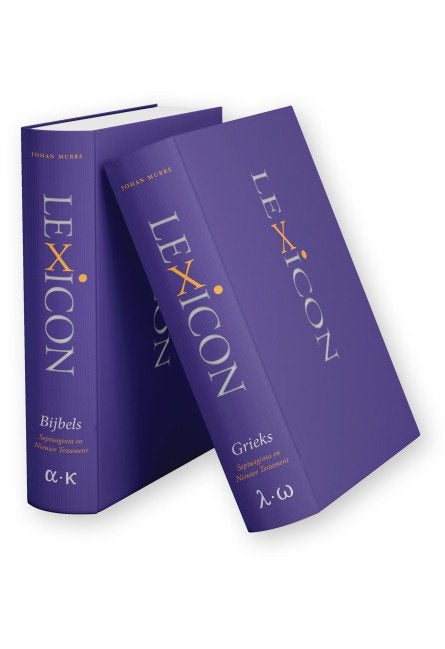 Gezocht: Lexicon Bijbels Grieks - Johan Murre, Ophalen of Verzenden, Zo goed als nieuw, Christendom | Protestants