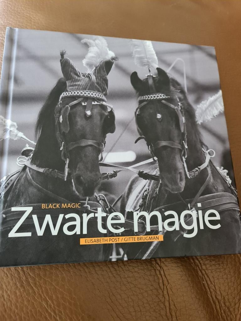 Boek Het Friese Paard - Zwarte Magie, Boeken, Ophalen of Verzenden, Zo goed als nieuw, Elisabeth Post, Gitte Brugman