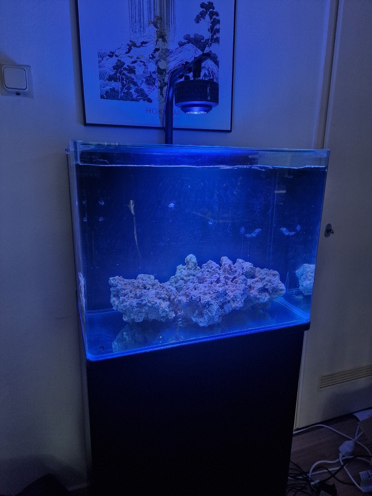 zee aquarium compleet, Dieren en Toebehoren, Ophalen