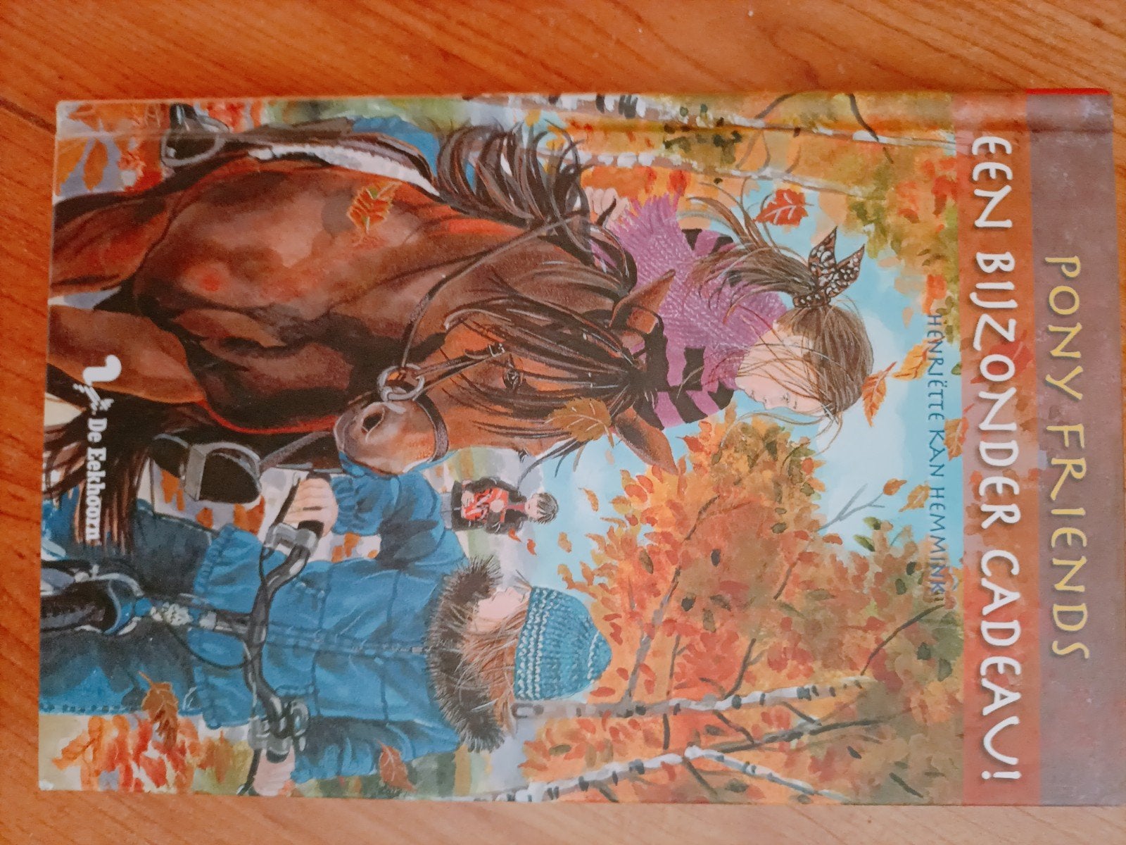 Pony Friends: Een Bijzonder Cadeau! - Henriëtte Kan Hemmink, Boeken, Ophalen of Verzenden, Gelezen, Henriëtte Kan Hemmink, Fictie algemeen
