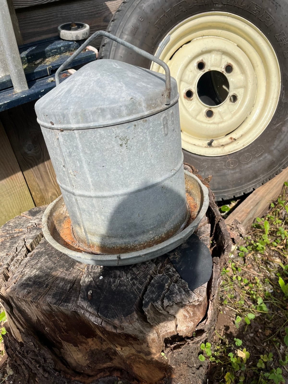 Div. Kippen drinkbakken voerbakken warmte lamp, Meerdere dieren, Kip