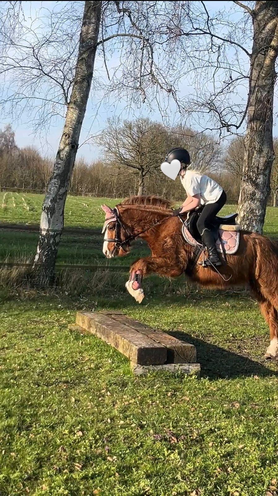 Bijrijder/wedstrijdruitertje aangeboden!, Dieren en Toebehoren, Paarden en Pony's | Overige Paardenspullen, Ophalen of Verzenden