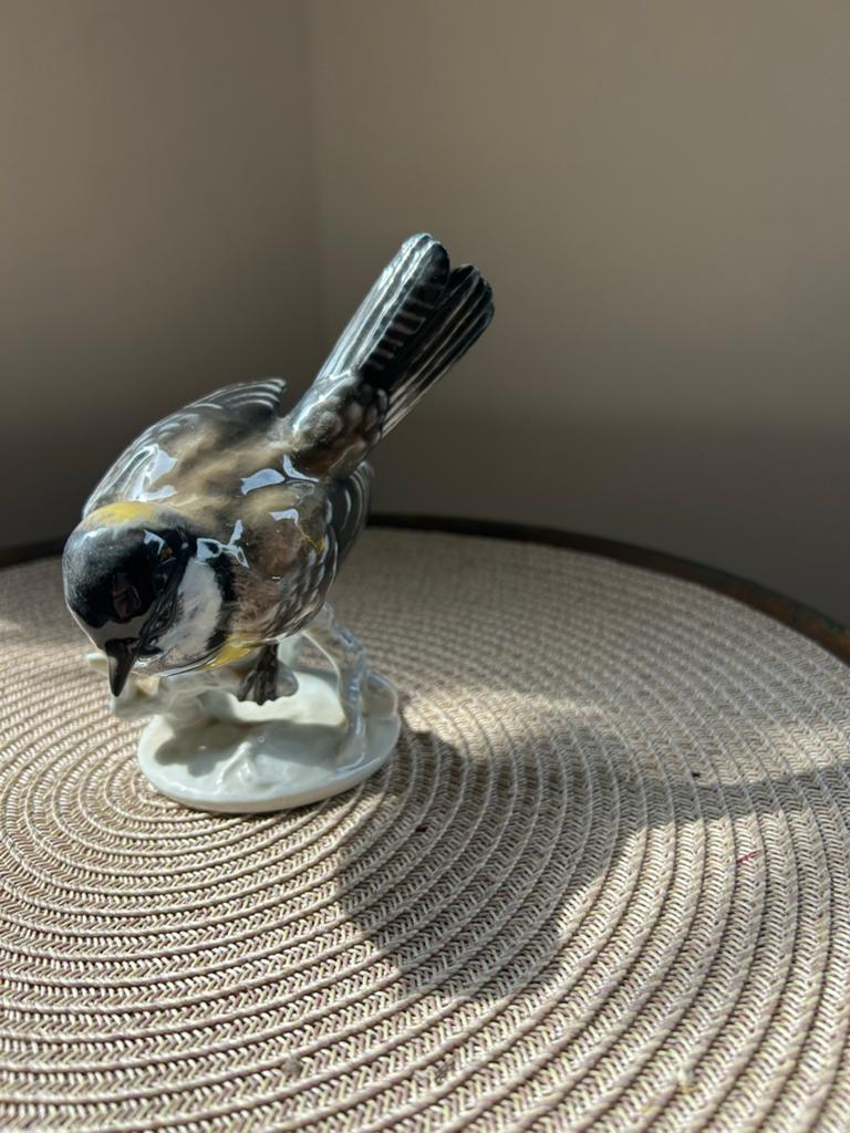 Rosenthal Porselein Koolmees - Model 1646 - Mint, Ophalen of Verzenden