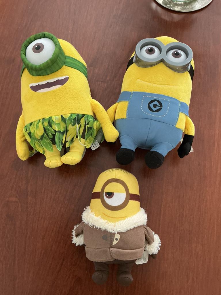 De familie Minion, Ophalen of Verzenden, Zo goed als nieuw, Overige typen