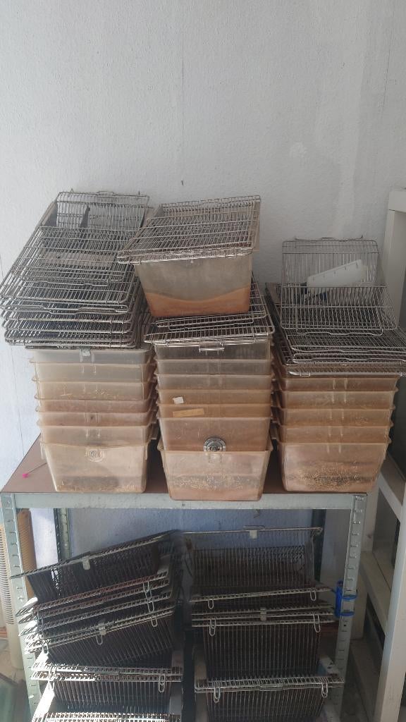 T3 Labbakken, Dieren en Toebehoren, Ophalen, Minder dan 75 cm, Kooi, Minder dan 60 cm