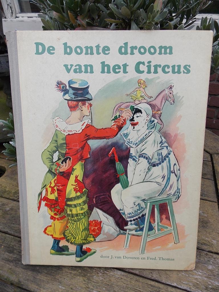 De bonte droom van het circus - boek, Boeken, Prentenboeken en Plaatjesalbums, Ophalen of Verzenden, Gelezen