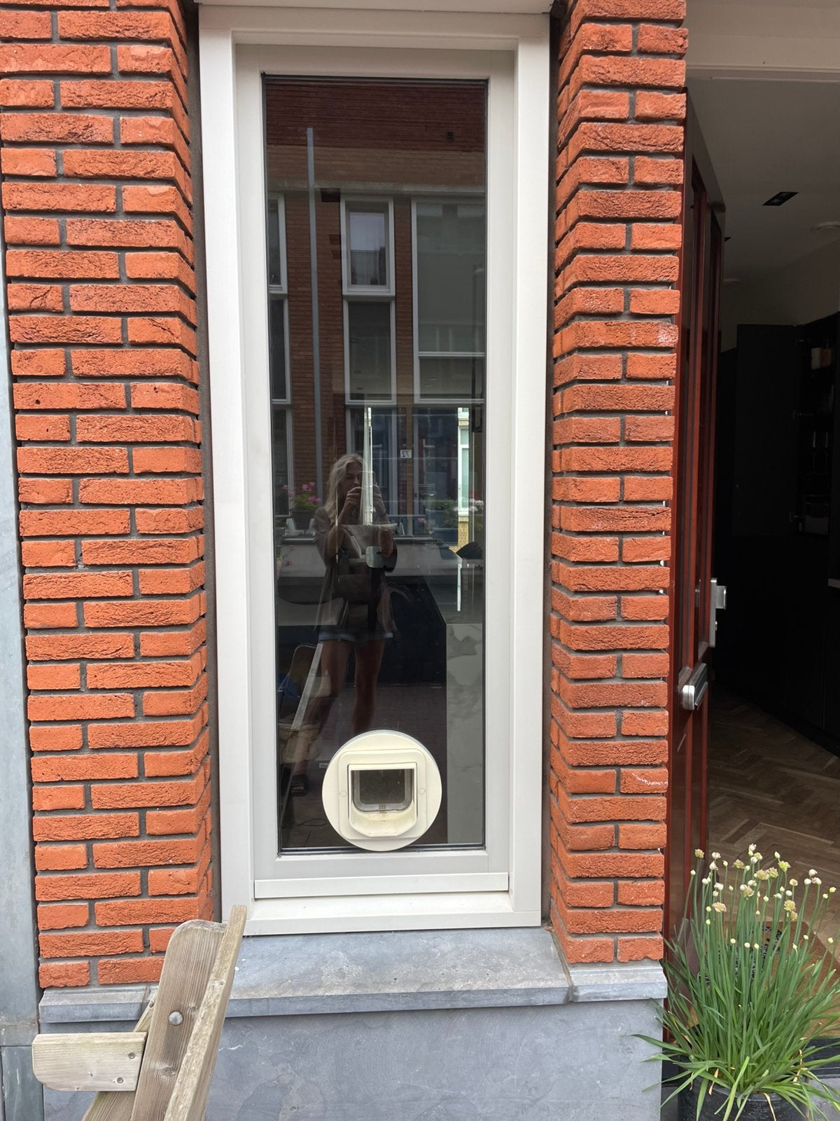 Ruit met kattenluik, Raamkozijn, Zo goed als nieuw, Hout, Ophalen