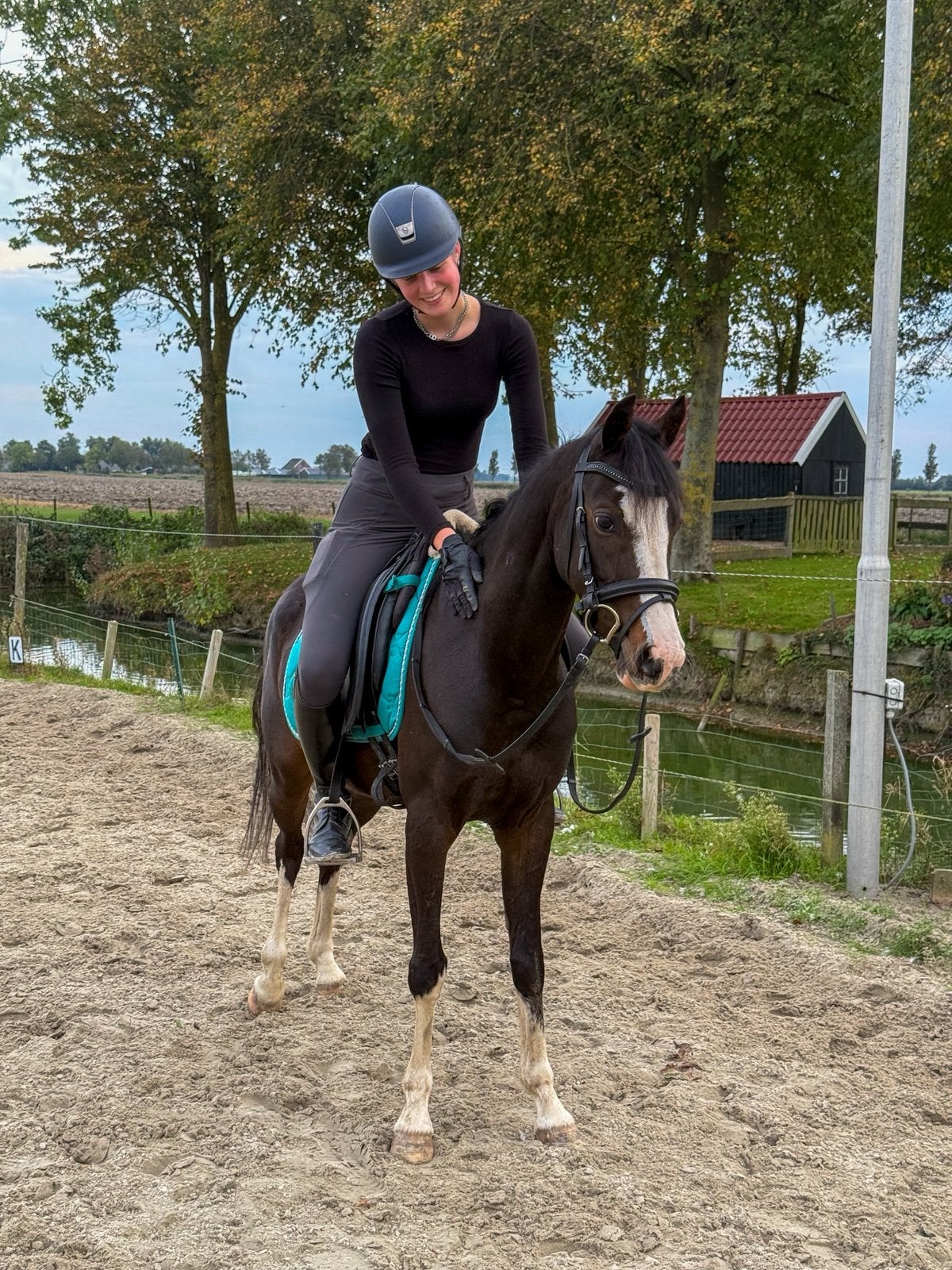 Lieve D welsh merrie, Merrie, Minder dan 160 cm, Met stamboom, Dressuurpaard
