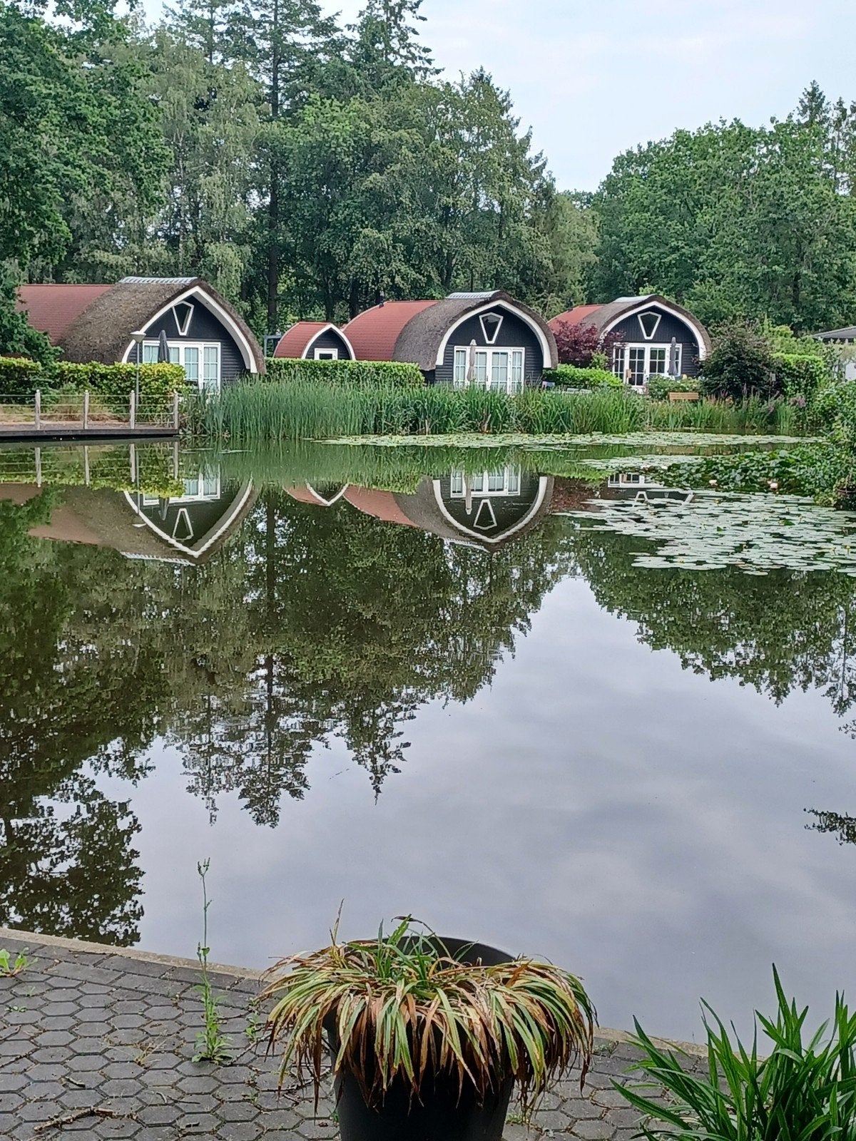 VAKANTIE   op park., 6 personen, Tv, In bos, 3 slaapkamers