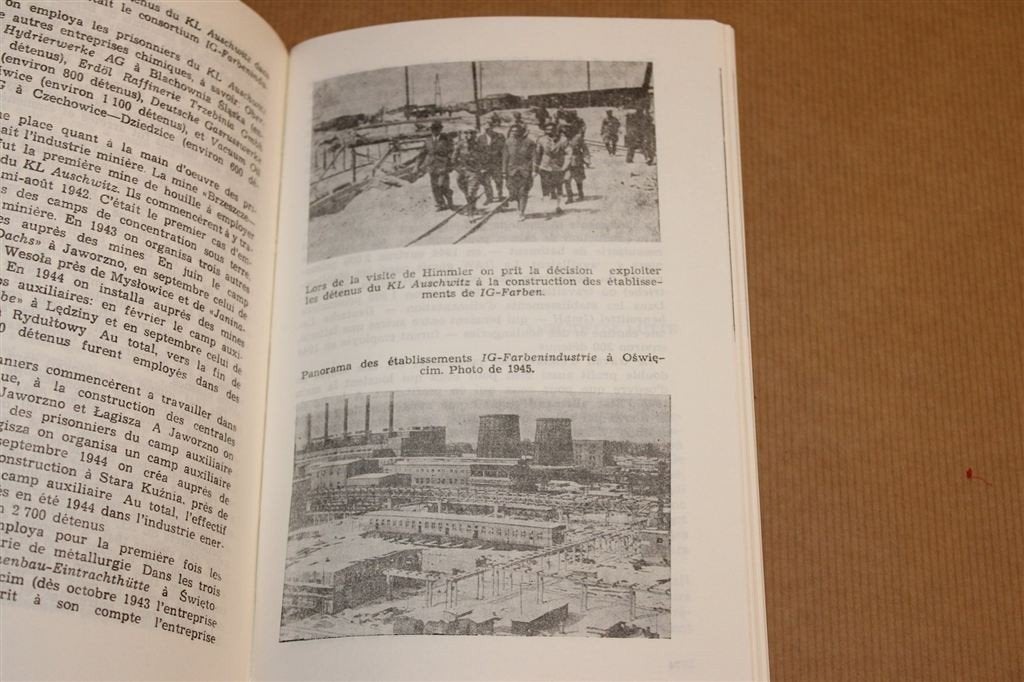 Dossier Auschwitz — Historische Vraagstukken [Franstalig], Ophalen of Verzenden, Tweede Wereldoorlog, Gelezen, Overige onderwerpen